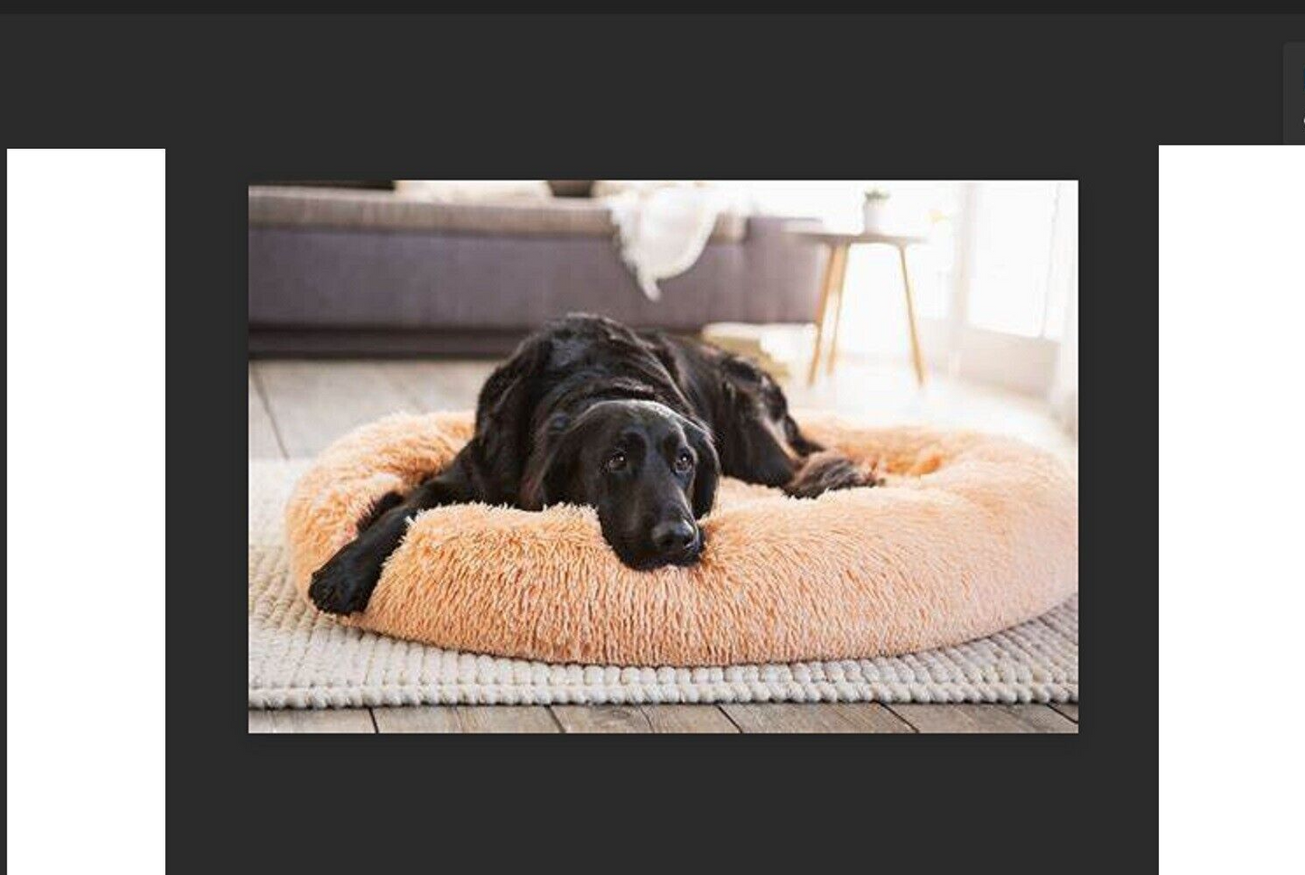 Hundebett beige 100cm