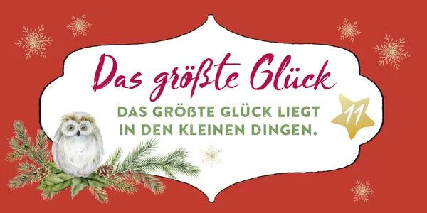 Mini-Adventskalender im niedlichen Mini-Format 24 liebevolle Botschaften Buch