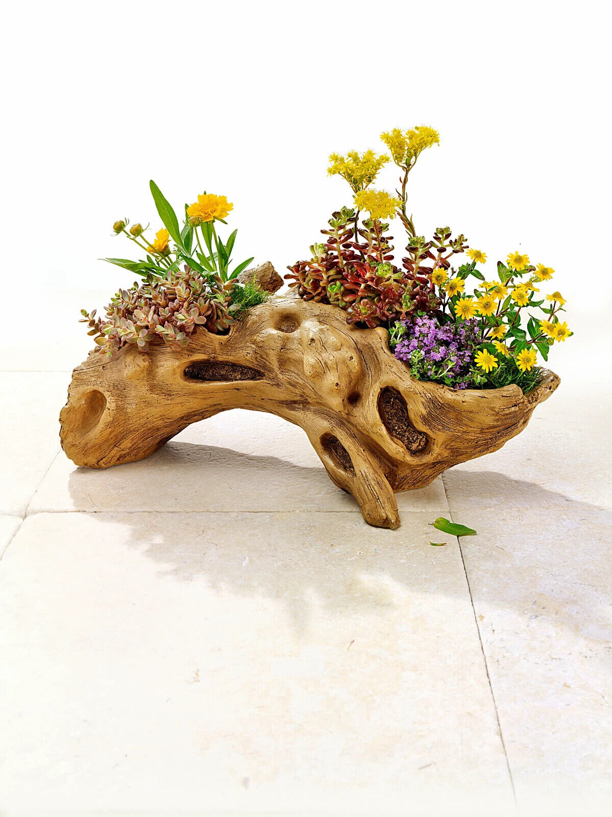 Pflanzschale "Baumwurzel" Wetterfest Garten Dekoration Blumenschale Blumentopf