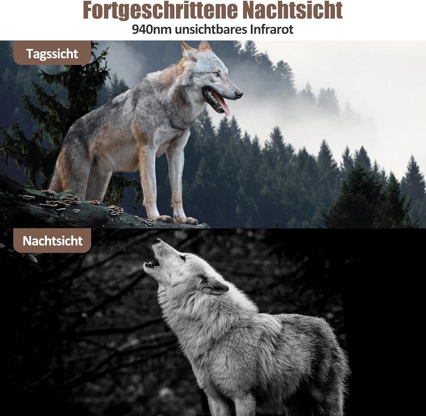 Wildkamera Jagdkamera 4K 30MP, Wildtierkamera mit Bewegungsmelder Nachtsicht