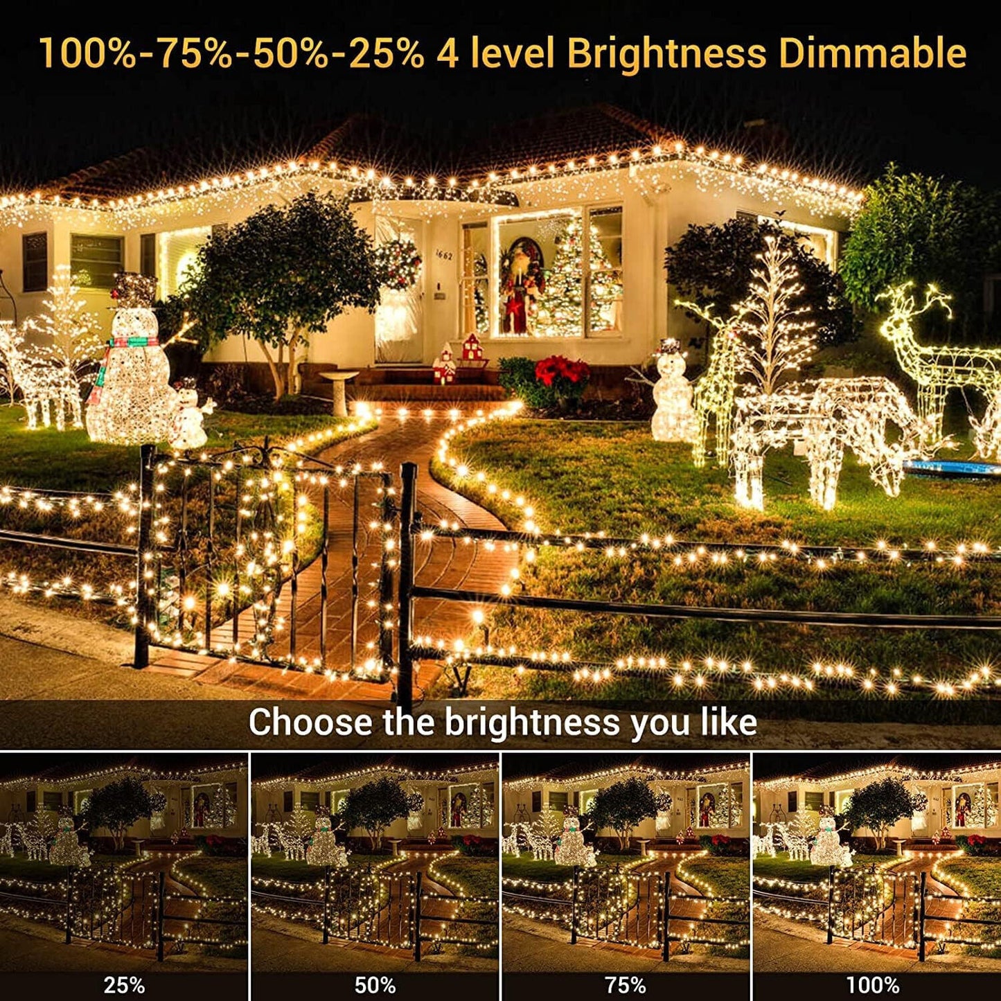 Weihnachtsbeleuchtung Außen 100M, 1000er LED Lichterkette Advent Dekoration