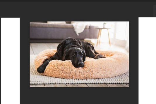 Hundebett beige 100cm