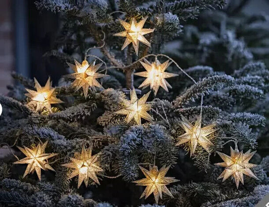 LED-Lichterkette Weihnachtsstern Farbe: Silber