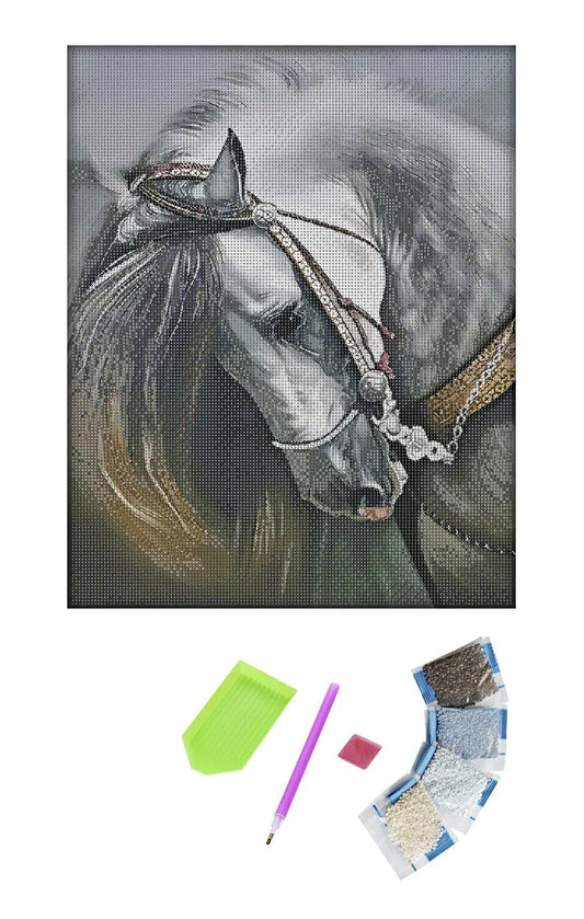 Diamond Painting (AusfÃhrung: Schimmel) 40 x 50 cm