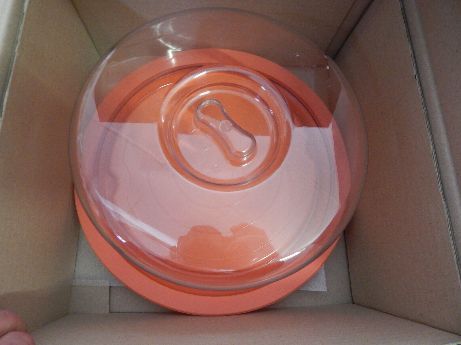 Kuchen Behälter in Orange