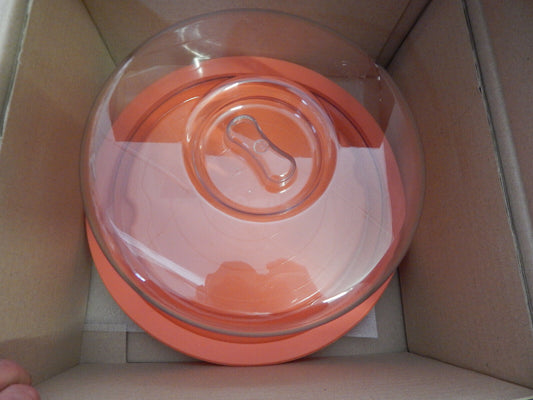 Kuchen Behälter in Orange